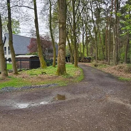 דירה Moderne Hochwertige ריין